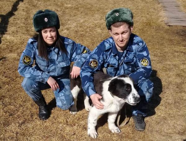 Пять свердловских щенков овчарок отправились в Кировскую область охранять заключенных - Фото 2