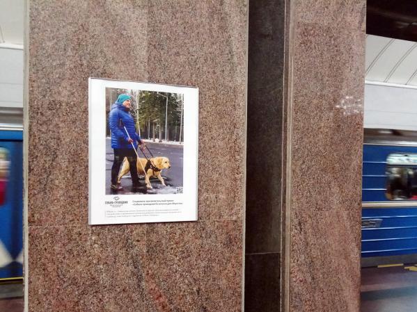 В метро Екатеринбурга открылась фотовыставка, посвященная собакам-поводырям - Фото 3