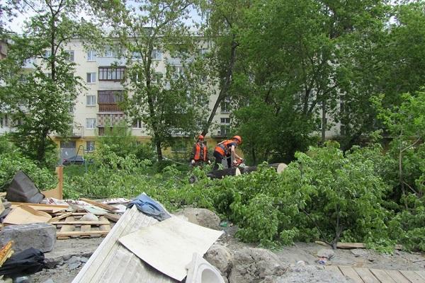 В Екатеринбурге на улице Декабристов снесли десятки деревьев ради детской площадки - Фото 2