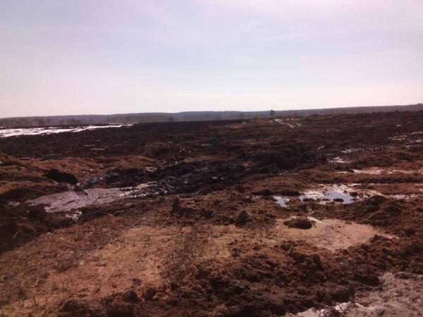 В Нижнесергинском районе поселок завалили куриным пометом. Возбуждено уголовное дело - Фото 2