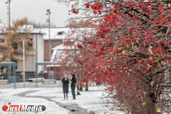Смотрим красивые фотографии снежного Екатеринбурга - Фото 3