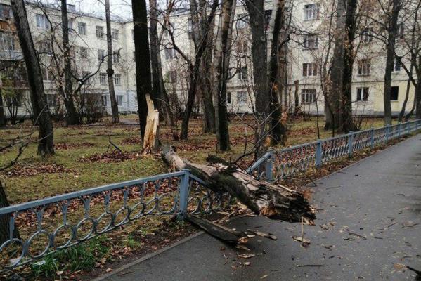 Ураган в Екатеринбурге сносил деревья, заборы и остановки - Фото 2