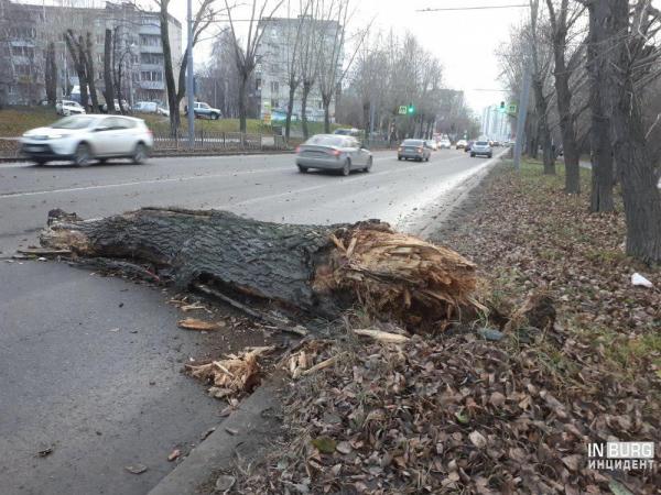 Ураган в Екатеринбурге сносил деревья, заборы и остановки - Фото 3