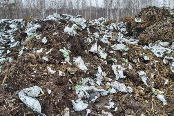 В Березовском появился новый мусорный полигон, несмотря на запрет минЖКХ - Фото 3