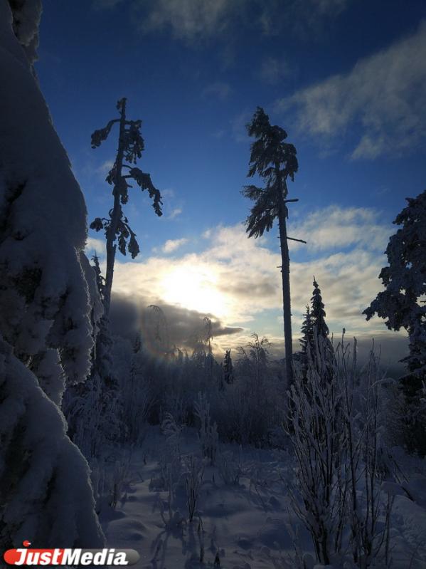 Хвойники, снег и ни души. Едем в сказочный лес Висимского заповедника  - Фото 25