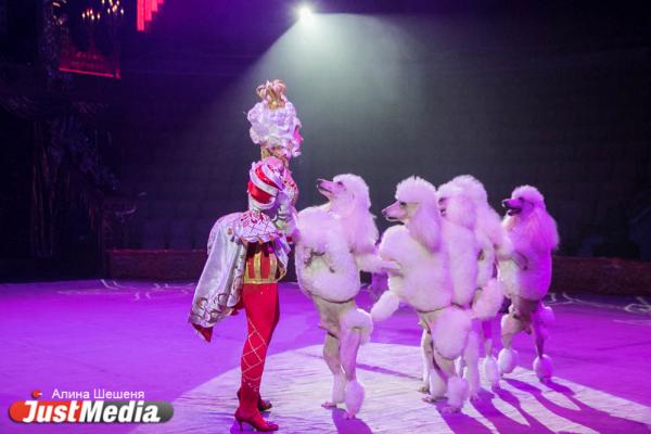«Королевский цирк» Гии Эрадзе покажет в Екатеринбурге несколько новых трюков - Фото 3