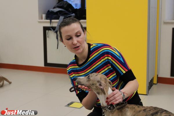«Те, кто постарше, так и будут кричать: «Сиськи!». Как в Екатеринбурге обучают волонтеров и их собак для лечения людей с ограниченными возможностями - Фото 13