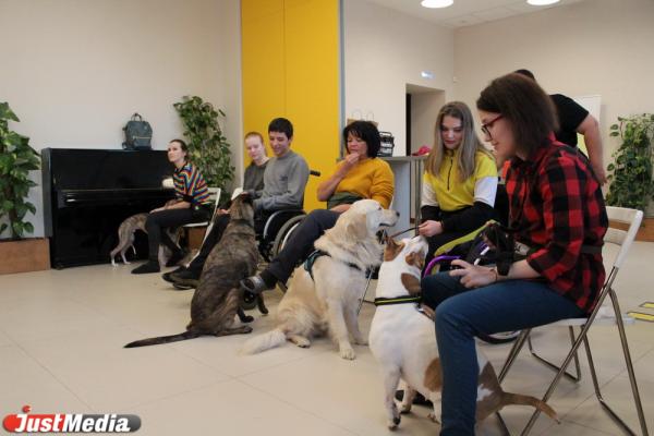 «Те, кто постарше, так и будут кричать: «Сиськи!». Как в Екатеринбурге обучают волонтеров и их собак для лечения людей с ограниченными возможностями - Фото 21