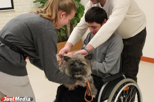 «Те, кто постарше, так и будут кричать: «Сиськи!». Как в Екатеринбурге обучают волонтеров и их собак для лечения людей с ограниченными возможностями - Фото 17