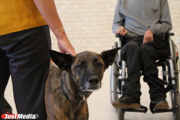 «Те, кто постарше, так и будут кричать: «Сиськи!». Как в Екатеринбурге обучают волонтеров и их собак для лечения людей с ограниченными возможностями - Фото 11