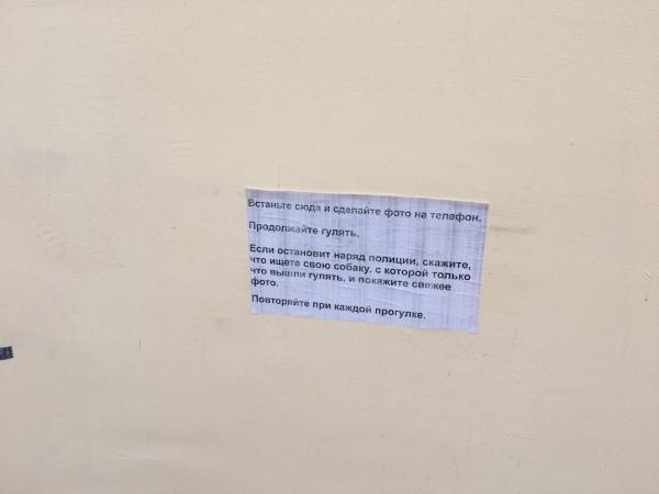 Екатеринбургские художники предложили свой способ избежать штрафов за выход на улицу - Фото 3