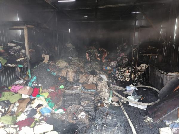 В Екатеринбурге в пожаре заживо сгорели 12 лошадей и 5 собак - Фото 2
