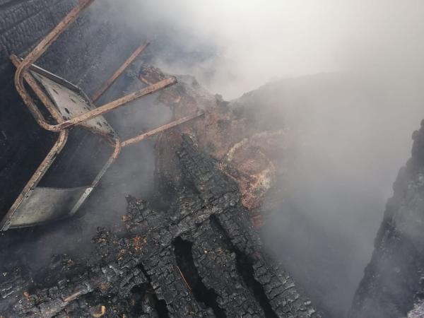 В Екатеринбурге в пожаре заживо сгорели 12 лошадей и 5 собак - Фото 3