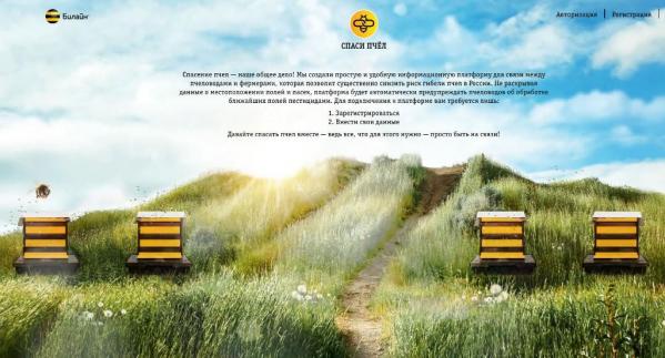 В России нашли решение, которое поможет сократить массовую гибель пчел - Фото 3