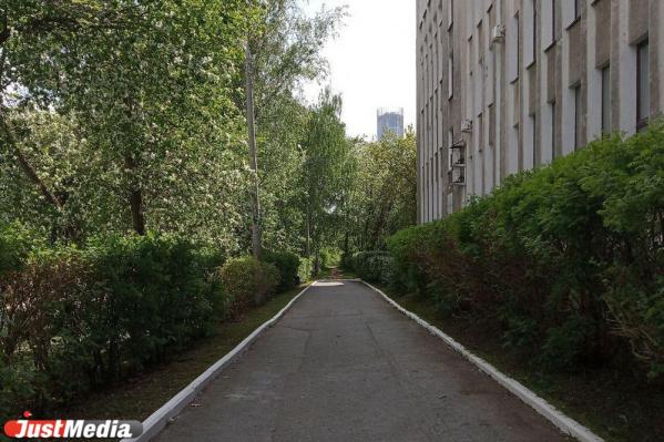 Как живут парки и скверы в Екатеринбурге после открытия - Фото 9