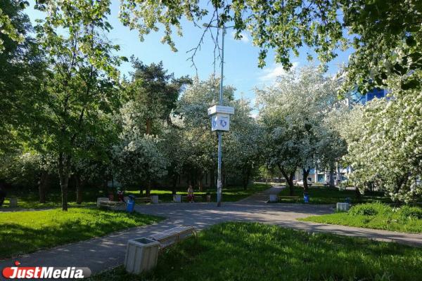 Как живут парки и скверы в Екатеринбурге после открытия - Фото 12