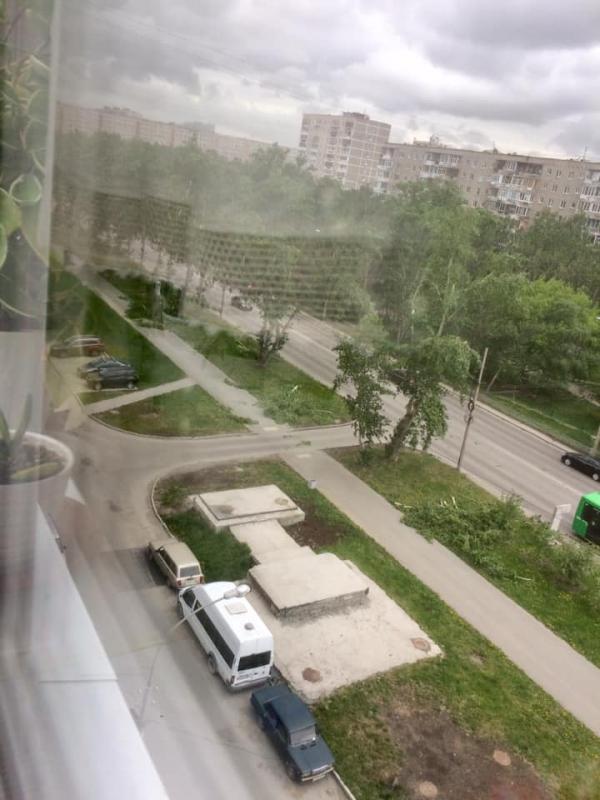 Падали на машины и повисали на проводах. Ураган сносил деревья в Екатеринбурге - Фото 5