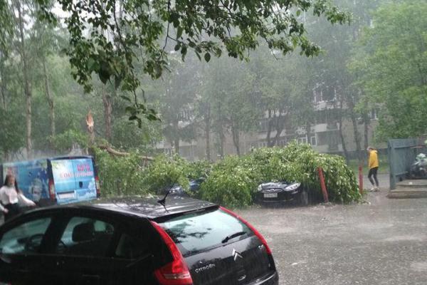 Падали на машины и повисали на проводах. Ураган сносил деревья в Екатеринбурге - Фото 4