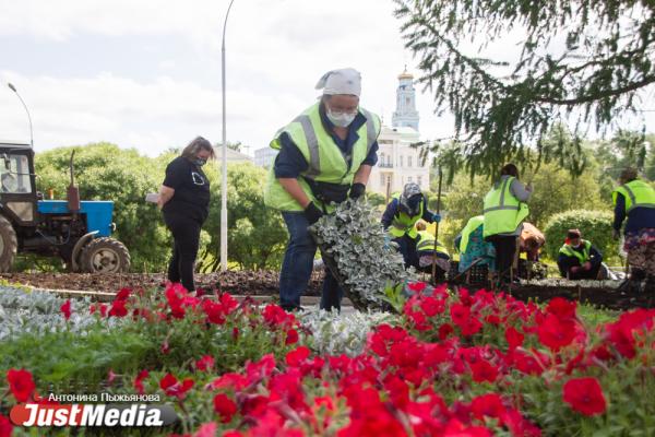 Городские службы начали украшать Екатеринбург цветами - Фото 5