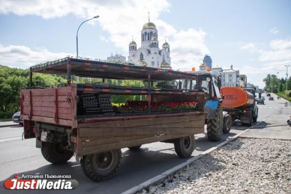 Городские службы начали украшать Екатеринбург цветами - Фото 9