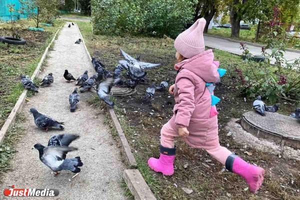Лера Черепанова, 4 года: «Одевайтесь потеплее и не болейте!». В Екатеринбурге +7 градусов - Фото 2