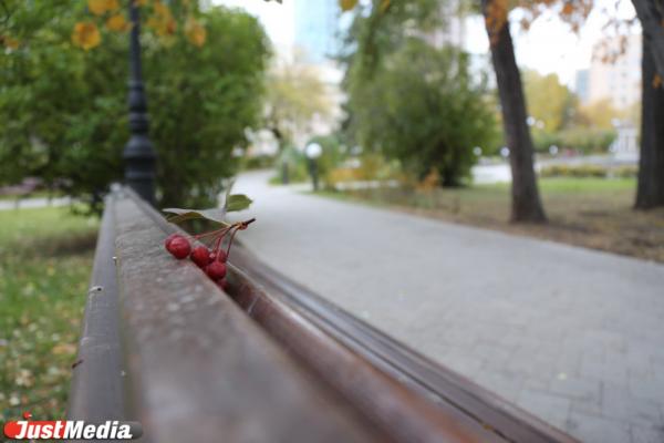 Пять лучших локаций в Екатеринбурге, где можно сделать красивые фото и признаться в любви - Фото 16