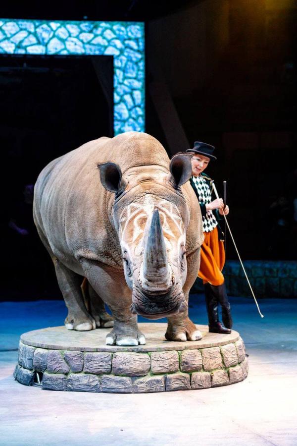 В Екатеринбург приехал единственный в России прирученный носорог Мафуньян - Фото 2