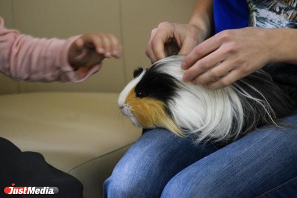 Анималотерапия: как в Екатеринбургском зоопарке животные помогают детям и снимают стресс взрослым - Фото 5