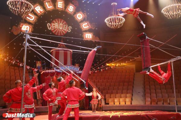 В Екатеринбургском цирке стартует шоу, номера которого покорили Княжеский дом Монако - Фото 4