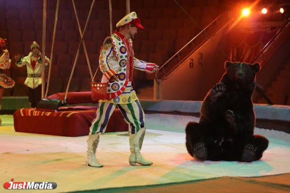 В Екатеринбургском цирке стартует шоу, номера которого покорили Княжеский дом Монако - Фото 7