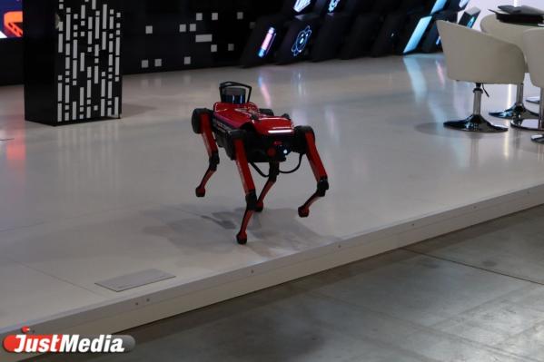 Робби, курьеры и консультанты. Знакомимся с роботами ИННОПРОМа-2022  - Фото 6
