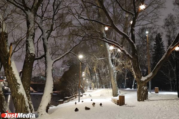 Зима не планирует уходить. В Екатеринбурге -6 градусов и снова снег - Фото 2