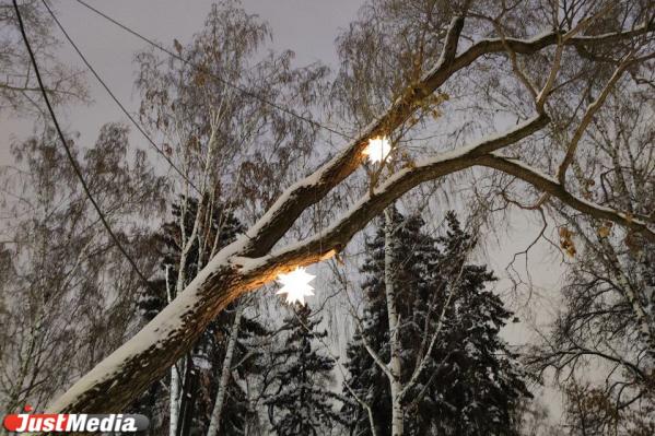 Зима не планирует уходить. В Екатеринбурге -6 градусов и снова снег - Фото 4