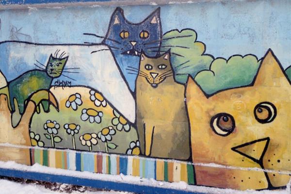 Екатеринбург – город кошачьего стрит-арта. Подборка граффити с изображением усатых в честь Дня кошек - Фото 3