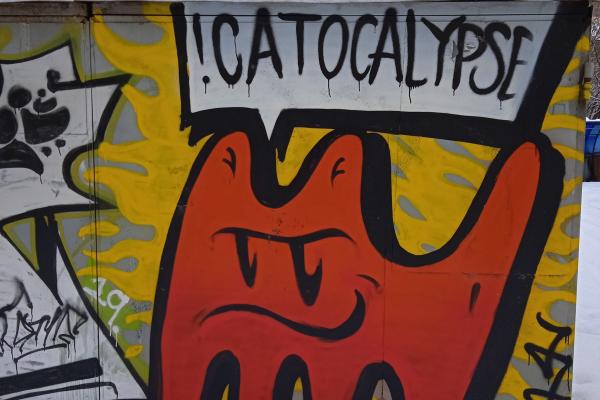 Екатеринбург – город кошачьего стрит-арта. Подборка граффити с изображением усатых в честь Дня кошек - Фото 20