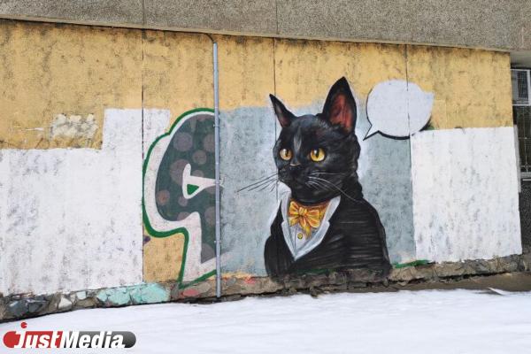 Екатеринбург – город кошачьего стрит-арта. Подборка граффити с изображением усатых в честь Дня кошек - Фото 24