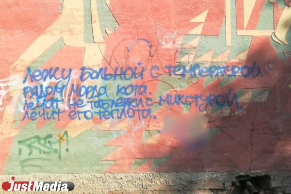 Екатеринбург – город кошачьего стрит-арта. Подборка граффити с изображением усатых в честь Дня кошек - Фото 27