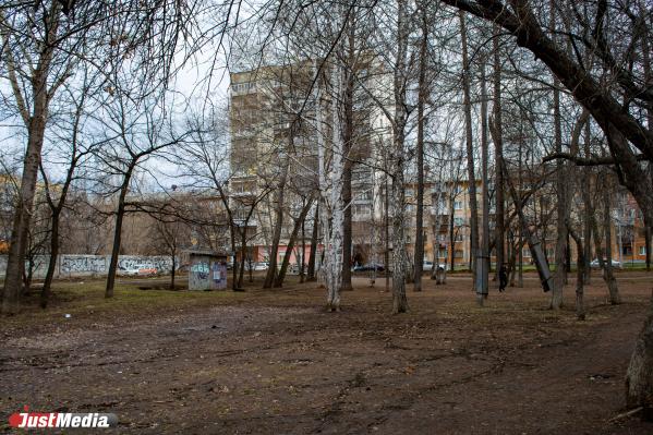 Екатеринбуржцам показали три парка, которые могут благоустроить за федеральный счет - Фото 7