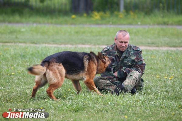 В выходные в Екатеринбурге пройдет парусная регата и выставка служебных собак - Фото 2