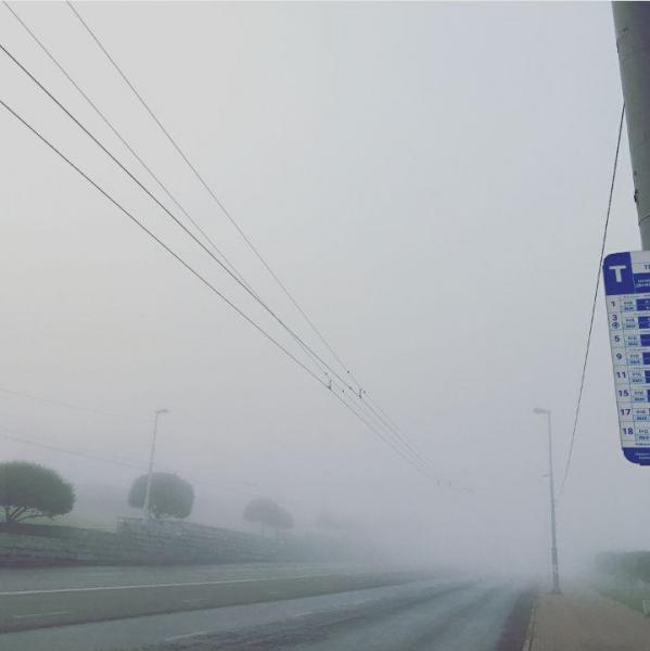 Густой туман окутал Екатеринбург и задержал два рейса в Кольцово - Фото 3