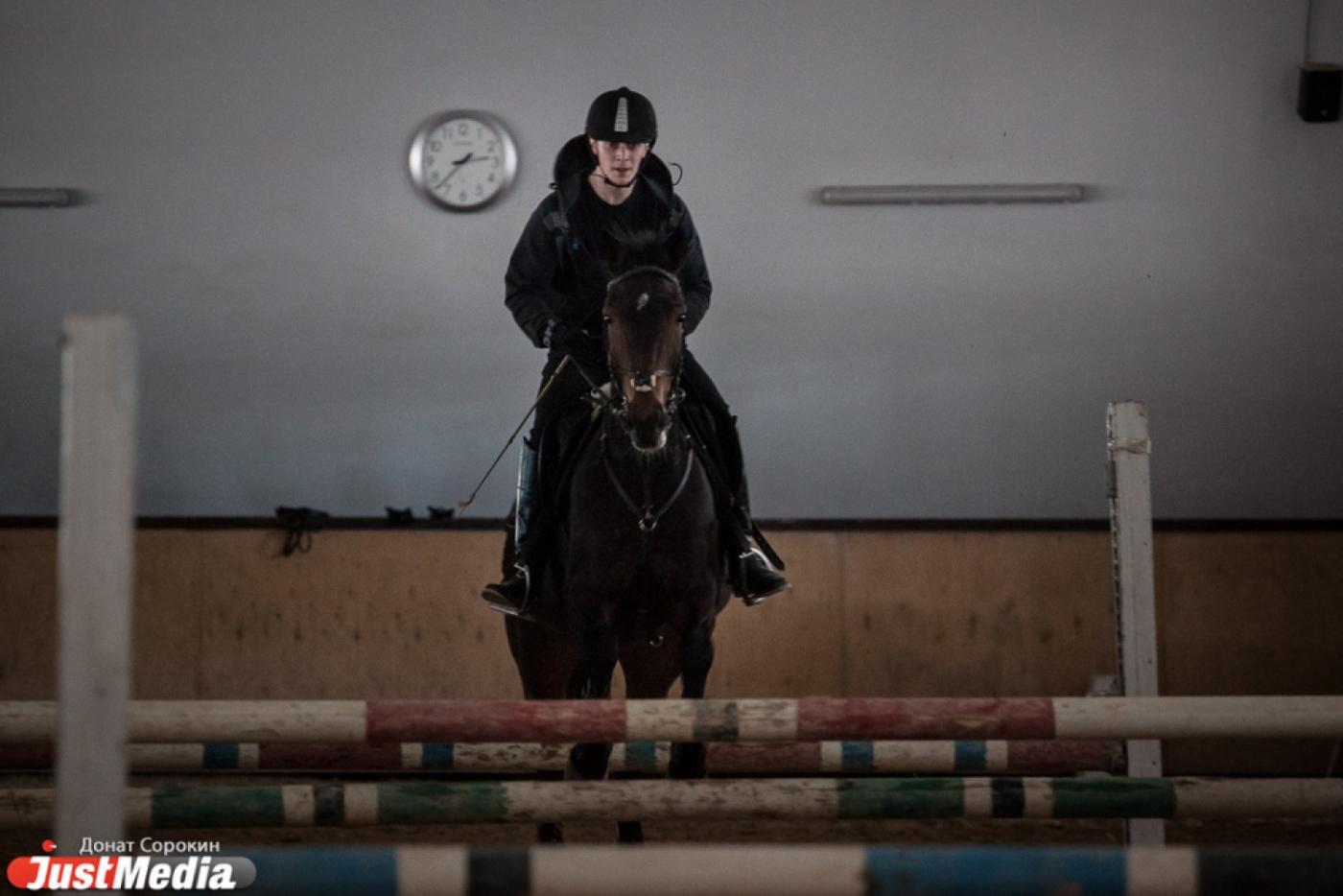 ХОД КОНЕМ! Первые уроки верховой езды и секреты правильного баланса в репортаже JustMedia.Ru - Фото 1