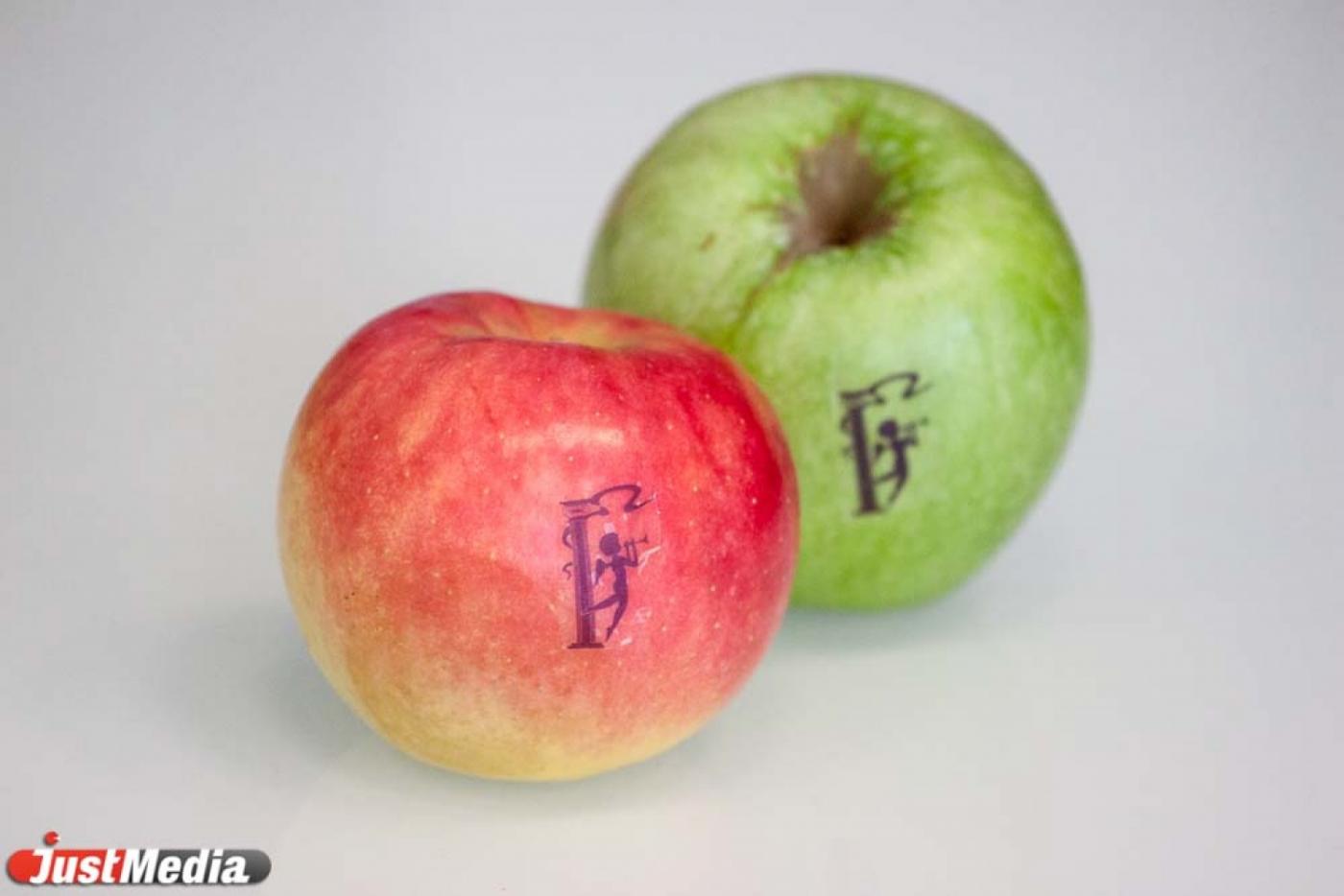 Тарантелла для балалайки! На борьбу с авитаминозом в Свердловскую детскую филармонию пригласили итальянского гитариста - Фото 1