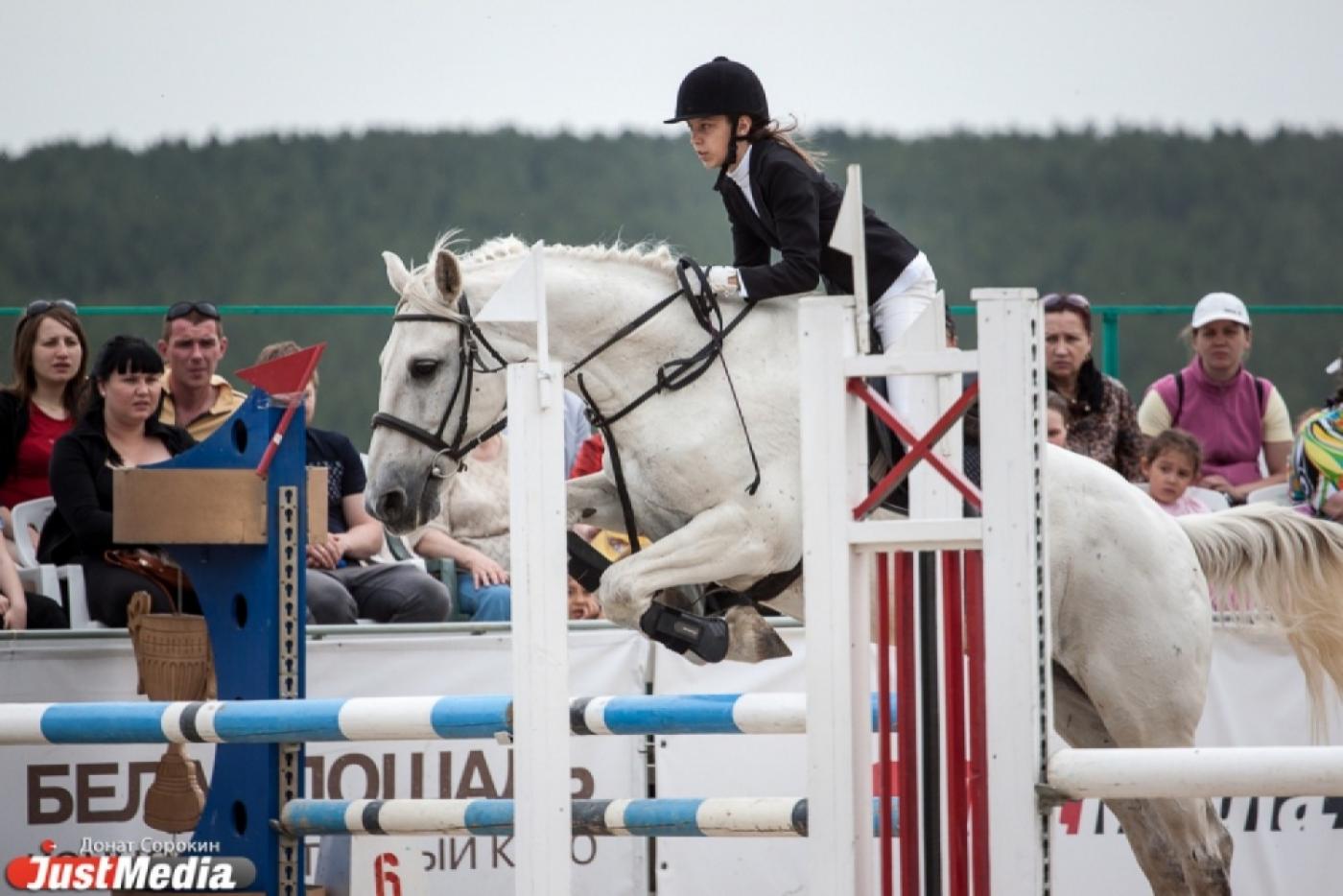Вне КОНКУРенции! Свердловские всадники продолжают показывать высокие результаты в конном спорте - Фото 1