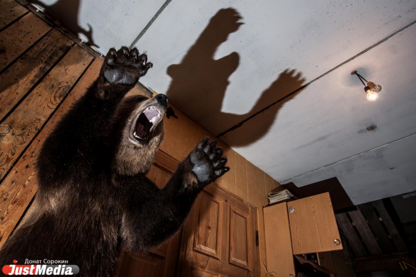 «Хорошая птичка, но какать не сможет»! Известный уральский таксидермист Геннадий Полещук — о сложностях и фишках профессии. СПЕЦПРОЕКТ - Фото 1