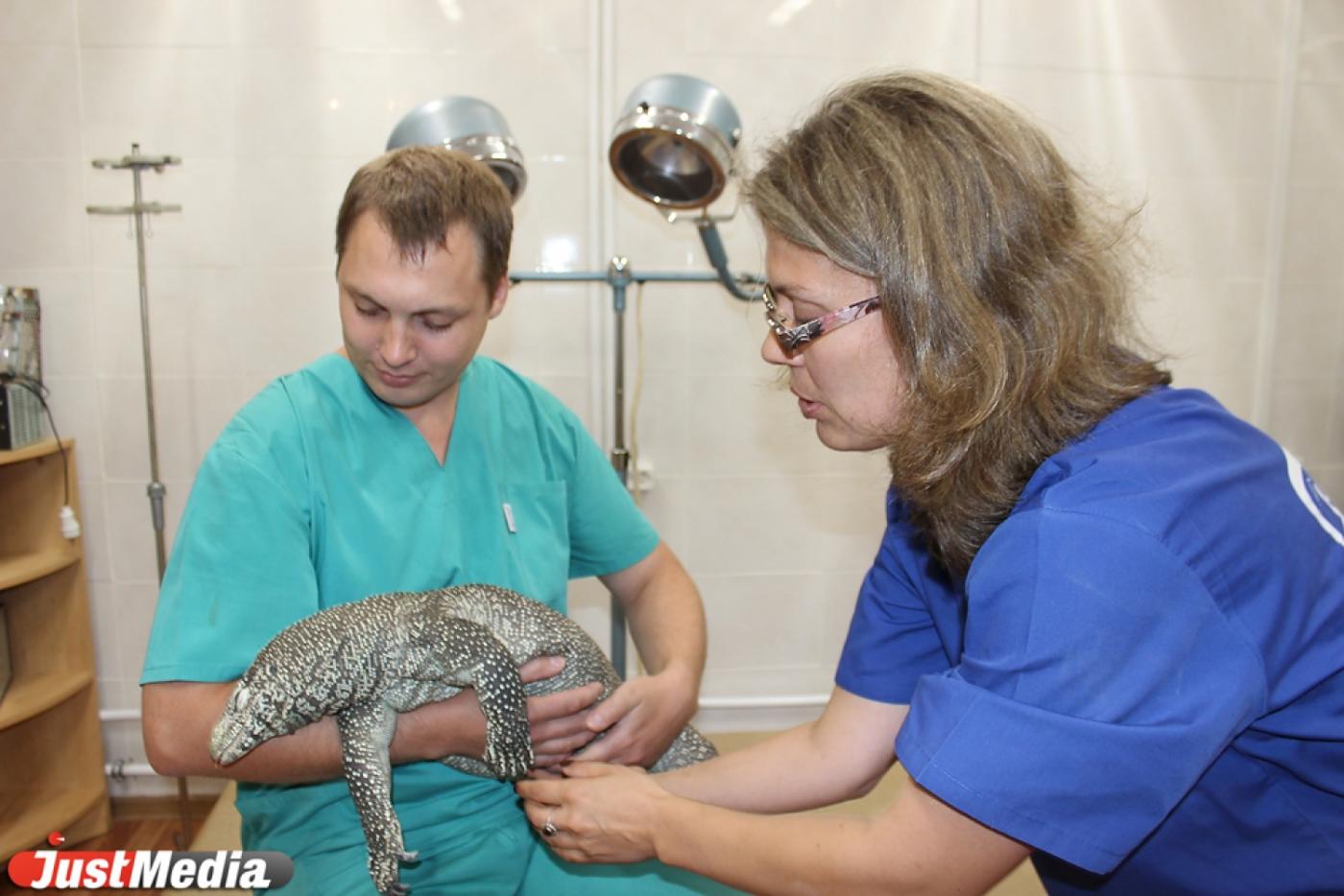 Ласковый и нежный зверь: Екатеринбургский зоопарк превратил главного ветврача Татьяну Суркову в экстрасенса, снайпера и актрису. СПЕЦПРОЕКТ - Фото 1