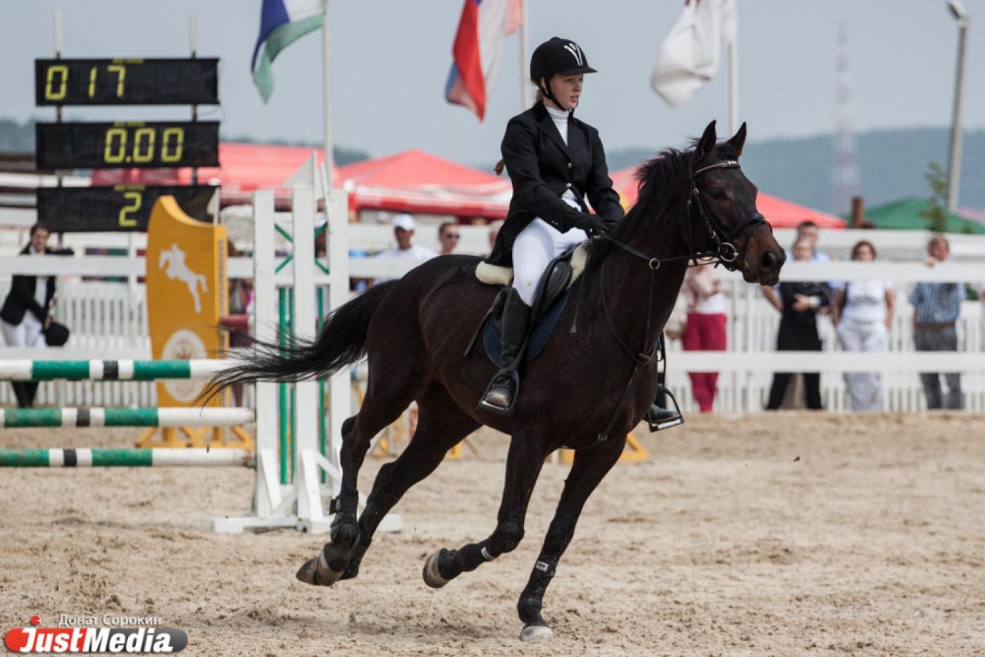 Неожиданные поражения и первые победы. Острая борьба развернулась на чемпионате УрФО по конкуру - Фото 1