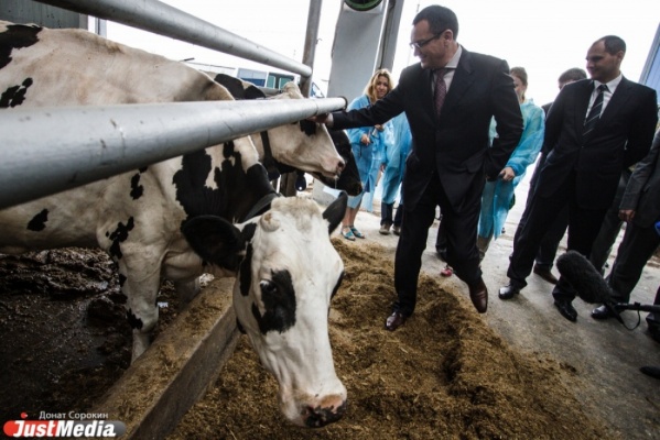 Николай Федоров: «Вкуснее парного молока ничего не может быть». Министр сельского хозяйства России посетил Свердловскую область - Фото 1