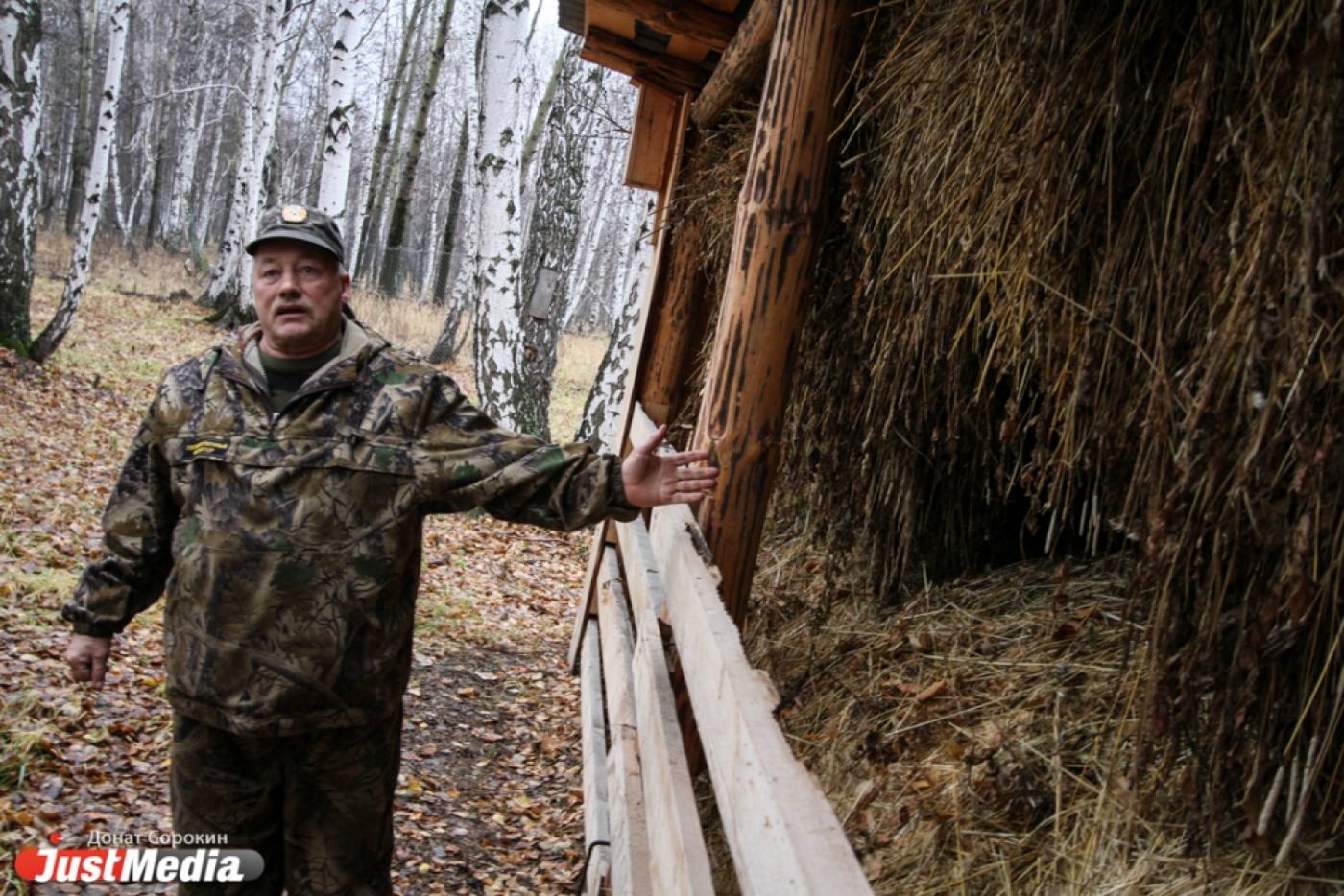 Зима будет холодной, но не голодной, — в Богдановичском заказнике начали заготовку кормов для животных - Фото 1