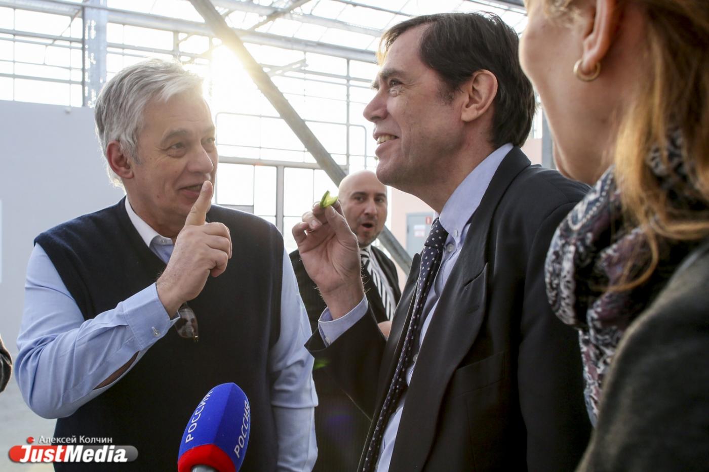 Лучшая свердловская корова и первый урожай огурцов — чем удивляют и угощают иностранных делегатов на Урале - Фото 1