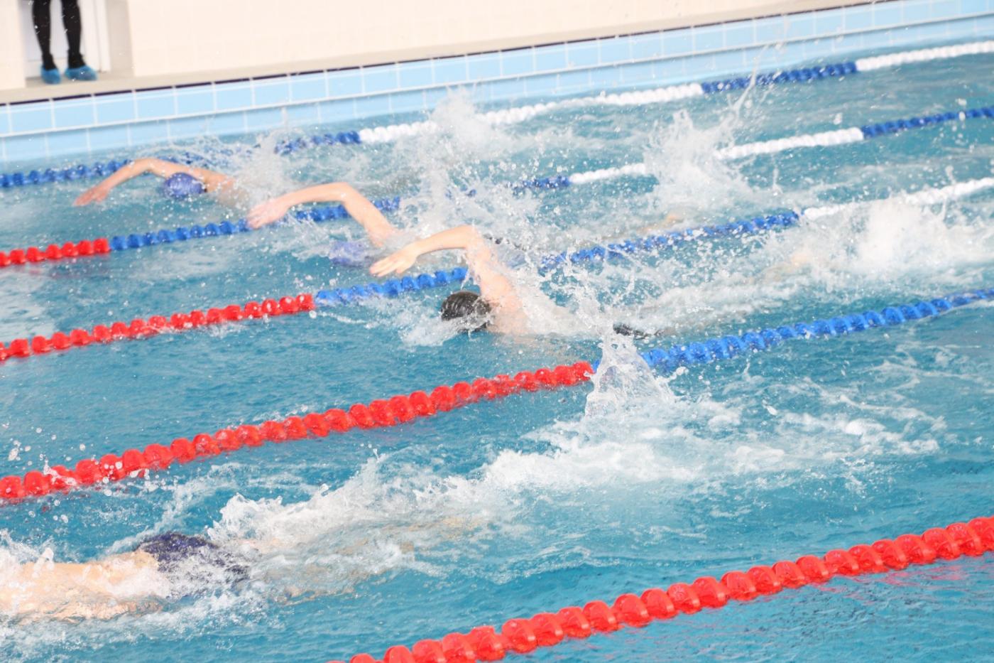 Кировградская «Чайка» взяла под крыло будущих олимпийцев. На месте устаревшего бассейна вырос современный физкультурно-спортивный комплекс - Фото 1